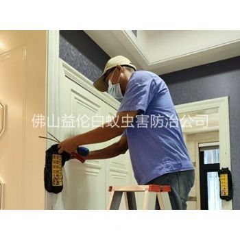 顺德住宅白蚁防治工程