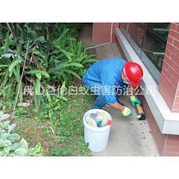 北滘施药灭鼠工程