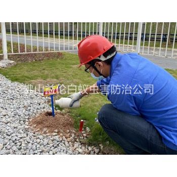 龙江红火蚁防治工程