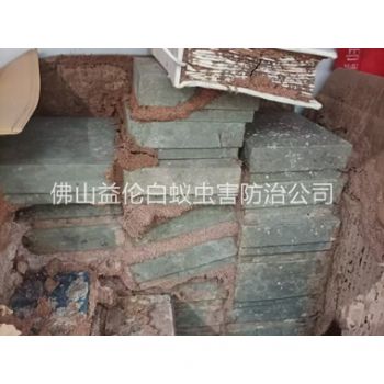 北滘防治白蚁危害工程