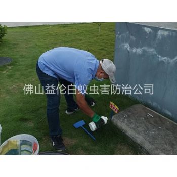 大良灭除红火蚁工程